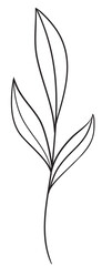 Naklejka premium Hand Draw Branch Leaves, Line Art