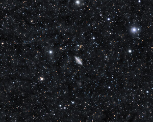 Distant galaxy in Lynx - obrazy, fototapety, plakaty