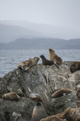 Fototapeta premium Ushuaia 