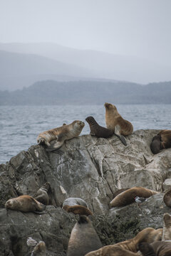 Ushuaia 
