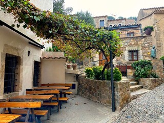 street with natural stone houses and terraces covered by tendrils in the old town of Tossa de Mar,...