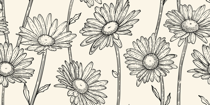 Hand Drawn doodle Scribble floral plants camomile seamless pattern. Abstract flowers daisy. Creative minimalist Abstract art background. Design wall decoration, postcards, poster or brochure
