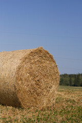hay bale in the field with blue sky on the background