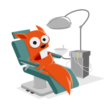 funny squirrel at the dentist