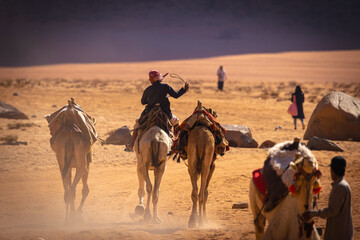 Wadi Rum w Jordanii. Mężczyzna prowadzący wielbłądy po pustyni. 