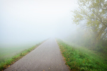 road in the fog with wide space for texts. Autumn foliage and grass.