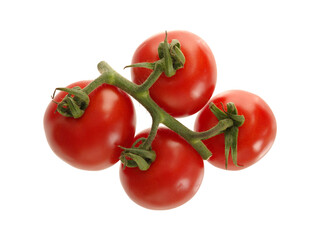 Small red cherry tomatos with green leaves on vine isolated on transparency png file