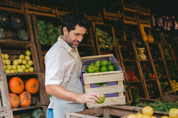 Fototapeta premium Middle-aged Latin man carrying a crate of apples in a greengrocer's shop.