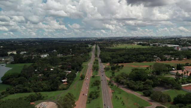 Tesourinha proximo ao lago Paranoa em Brasilia - Brasil