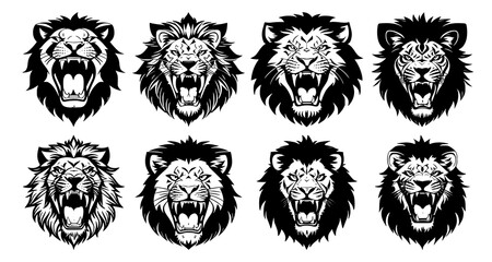 Set of lion heads with open mouth and bared fangs, with different angry expressions of the muzzle. Symbols for tattoo, emblem or logo, isolated on a white background.