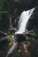 Fototapeta premium waterfall in the forest