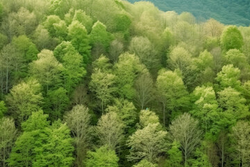 Trees in the trees, naturalistic landscape backgrounds, environmental awareness, National Geographic style. Generative Ai.