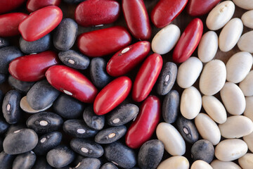 Various beans including black beans, red kidney beans and white haricot beans