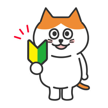 Orange tabby and white cat holding a Japanese beginner mark of driving, transparent PNG.