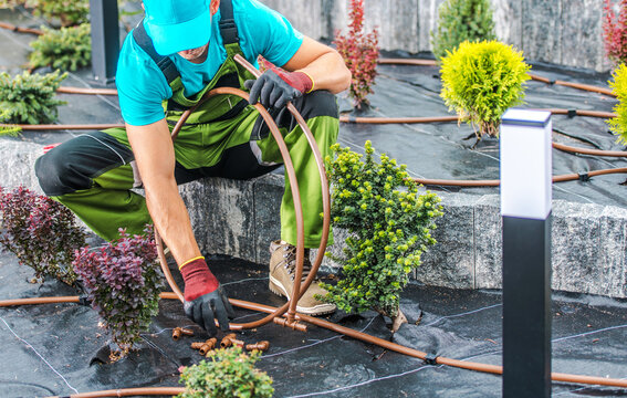 Professional Gardener Installing Irrigation System