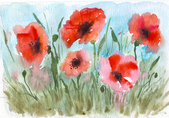 Poppy flowers in the field hand drawn watercolor card background