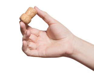 Hand holding a wine cork, cut out