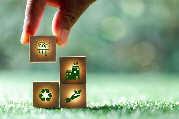 Companies are targeting net zero greenhouse gas emissions. Carbon credit concept.Tradable...