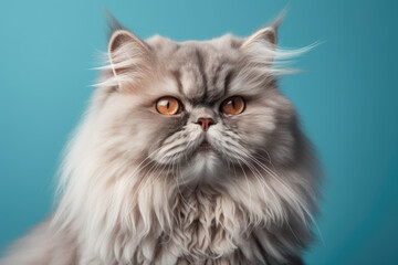 Elegant Feline Beauty. Fluffy Persian Cat with Luxurious Coat Isolated on Pastel Blue Background. Copy space. Domestic Pet Concept AI Generative