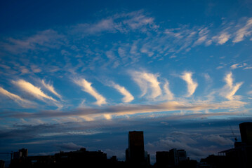 Cirrus Clouds in the City