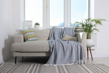 Cosy living room with sofa and potted plant. Interior design