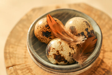 Quail eggs.Feathers on quail eggs in a blue cup.Animal protein.Useful healthy food.Organic farm...