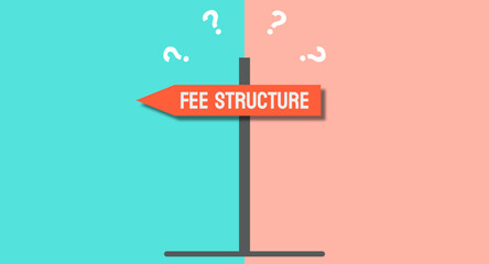 Fee Structure - Pricing model for services or products.