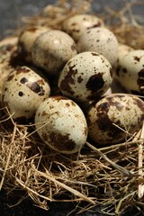 Naklejka na ściany i meble Nest with many speckled quail eggs on table, closeup