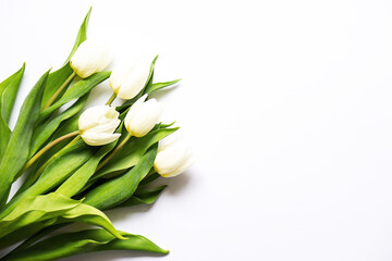 Beautiful bouquet of white tulips on white background. Copy space.