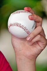 A Hand Holding Baseball