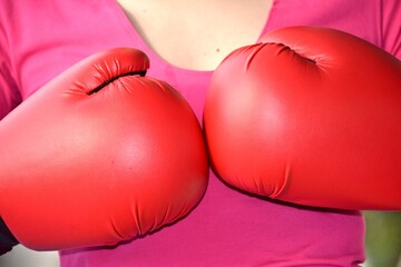 A Female With Boxing Gloves