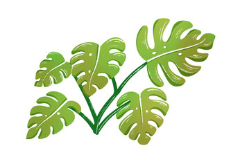 some monstera stalks with a transparent background