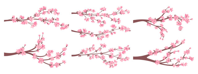Cherry blossom sakura twigs with pink flowers collection. Elegant Japanese blooming branches plant with flowers set. Asian Chinese spring decorative cherry blossoming. Vector oriental illustration