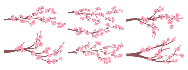 Cherry blossom sakura twigs with pink flowers collection. Elegant Japanese blooming branches plant with flowers set. Asian Chinese spring decorative cherry blossoming. Vector oriental illustration © neliakott
