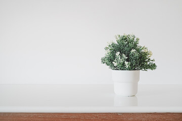 artificial plant, in soft focus, in white flower pot on white shelf and wall including copy space