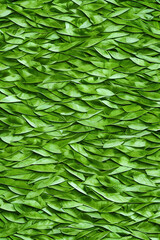 leaf wall pattern