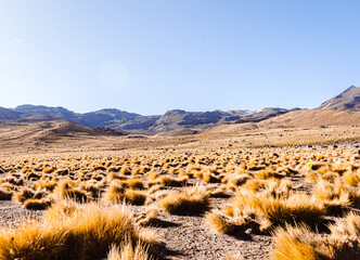 San Pedro de Atacama es una ciudad ubicada en una alta meseta árida en la Cordillera de los Andes del noreste chileno. Su espectacular paisaje circundante incluye desierto, salares, volcanes, géiseres