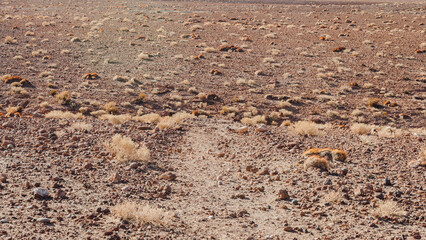 San Pedro de Atacama es una ciudad ubicada en una alta meseta árida en la Cordillera de los Andes del noreste chileno. Su espectacular paisaje circundante incluye desierto, salares, volcanes, géiseres