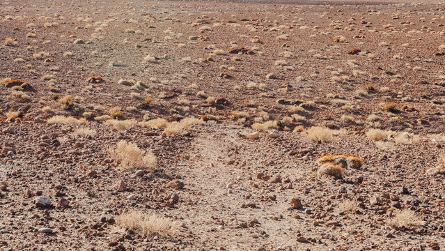 San Pedro de Atacama es una ciudad ubicada en una alta meseta &aacute;rida en la Cordillera de los Andes del noreste chileno. Su espectacular paisaje circundante incluye desierto, salares, volcanes, g&eacute;iseres