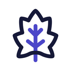maple leaf line color icon