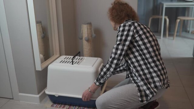 Cat hygiene theme and pet litter box at home. A mature woman is working on a closed toilet with a gray Scottish straight cat. Owner cat installs hooded litter box with hinged door