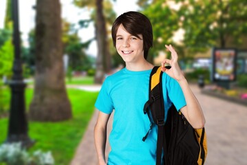 Naklejka premium A happy smart child with a school bag