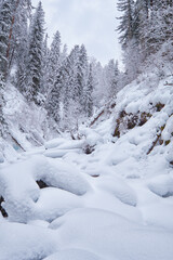 Footpath in winter taiga forest under heavy snow along Tevenek river on the bank of Teletskoe lake. Altai.