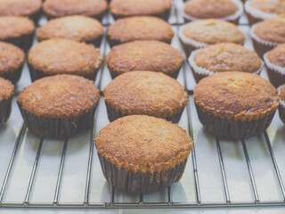 Banana cup cakes from steamy fresh oven