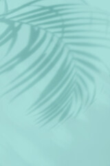 Tropical palm leaves shadow on pastel color background with copy space