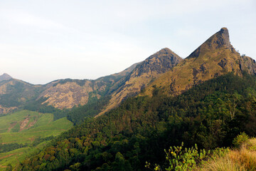 Fototapeta na wymiar beautiful tall high rock mountain with valley of tea farm top view in kerala india