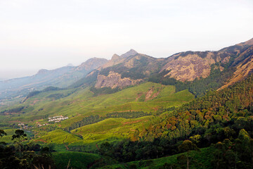 Naklejka premium natural tea garden farm view with mountain in kerala