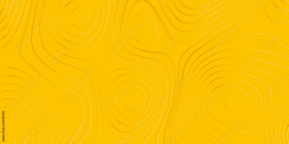 Poster topographic map background geographic line map with elevation assignments. topographic map and lands