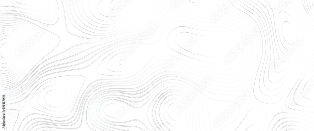 Poster topographic map and landscape terrain texture grid, abstract white topography vector background, mod