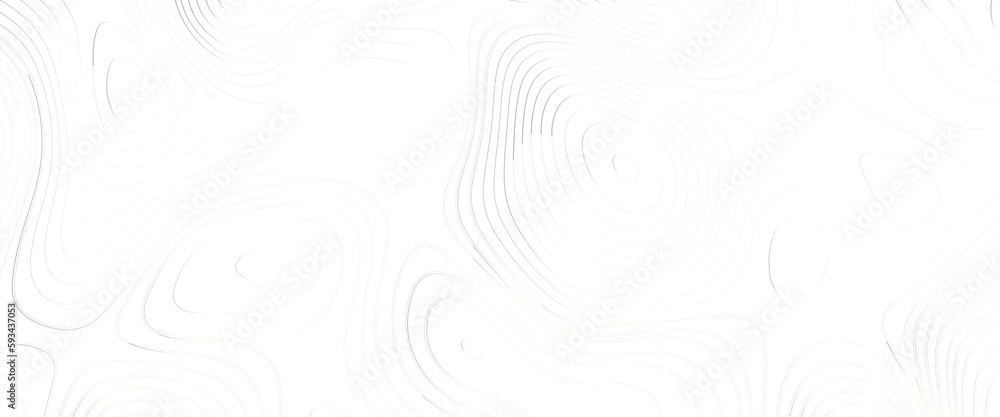 Poster topographic map and landscape terrain texture grid, abstract white topography vector background, mod
